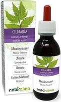 Tikrasis pievinės miglės (Filipendula ulmaria arba Spirea ulmaria) žiedai be alkoholio motinos tinktūra Naturalma - skystas ekstraktas lašai 120 ml - maisto papildas - Vegan