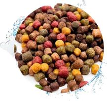 Warnicks Tierfutterservice Koi maistas 6 mm Specialus maistas 8 rūšių mišinys 15 litrų