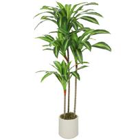 Dirbtinis dracena medis 120 cm