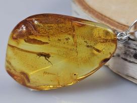 Gintaro pakabukas su inkliūzu amber insect