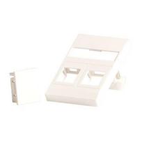 Lanview Wall plate for 2 x keystone.  Fits 50x75 mm FUGA outlet,