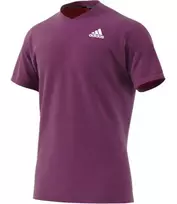Polo marškinėliai vyrams  - Violetinė (S)