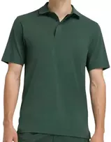 Polo marškinėliai vyrams  - Žalia (XL)