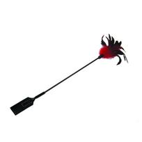 Plunksnų plaktukas Sportsheets Feather Slapper, dvipusis, 62 cm, BDSM