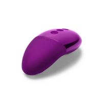 Le Wand Point violetinis mini vibratorius
