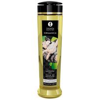 Shunga 240 ml bekvapis masažo aliejus