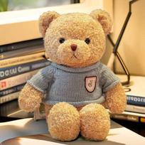 Meškio lėlės megztinis Meškio pliušinis žaislas Drabužiai Meškiukas Rags lėlė Hug Bear Mergaitė Gimtadienio dovana 30cm
