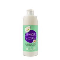 BIOconTé kasdienis šampūnas su ramunėlių hidrolatu, 300 ml
