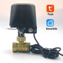 Tuya Zigbee Smart Water Valve WIFI Garden Water Shut Off Timer Irrigation Controller with Alexa Google Assistant SmartLife Wifi Version