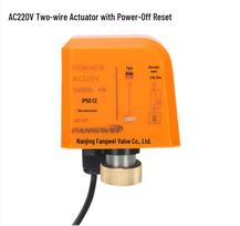 AC220V Brass Electric Ball Valve: Two-Wire Power-Off Reset, Internal Thread, Solenoid Valve Substitute, Normally Closed.