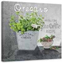 Canvas print, Oregano kitchen spice 30x30 žalia