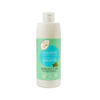BIOconTé šampūnas riebiems plaukams su žaliosios arbatos hidrolatu, 300 ml