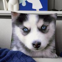 Animal Cute Siberian Husky Pillow Case Fashion Square Pillowcase Bedroom Sofa Room Ins Decoration Leisure Cushion Cover 40x40 16x16Inch