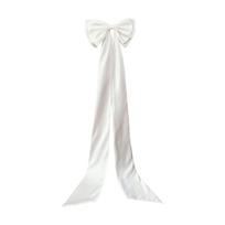 Big Bowknot Belts Satins Silk Ribbon Wedding Dress Decoration Waistband Theme Party Accessory balta