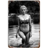 Vintage Pinup Girl Tin Sign Man Cave Bar Wall Decor 20x30cm purpurinė