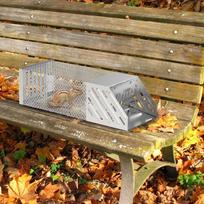 Live Traps For Mice Humane Small Live Trap For Squirrel Live Catch Mouse Traps Versatile Live Animal Catcher For House Outdoor raudona