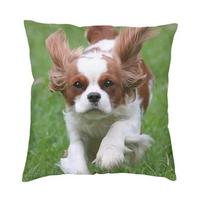 „Cavalier King Charles Spaniel“ prabangus pagalvės užvalkalas Namų dekoratyvinės šunų pagalvėlės, skirtos sofai, dvipusės spausdintos kėdės pagalvėlės 12x12Inch