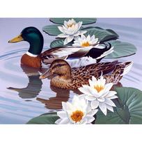 Diamond Embroidery Mandarin Duck 5D DIY Diamond Painting Cross Stitch Home Decor Gifts 20X30CM black