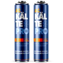 Kaltepro 3W1 2X Pūslė R134A