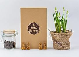 "VietBeans" degustacinis rinkinys - keturios įdomios kavos rūšys kavos mėgėjams - dovanų rinkinys - 4 išskirtiniai kavos patiekalai - kavos dovana (malta kava)