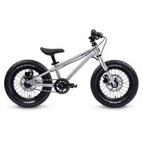 Early Rider Seeker 14" vaikiškas dviratis | Brushed Aluminium