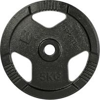 Ketaus svorio diskas inSPORTline Hamerton Black 5 kg, 30 mm