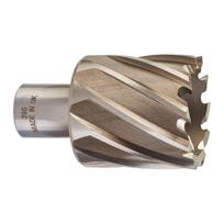 Milwaukee HSS žiedinis grąžtas 4932371748, 39mm, 30mm, 1 vnt, Weldon 19mm lizdas, HSSAC