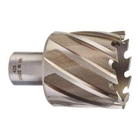 Milwaukee HSS žiedinis grąžtas 4932371751, 42mm, 30mm, 1 vnt, HSSAC, Weldon 19mm