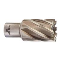 Milwaukee HSS žiedinis grąžtas 4932343284, 28mm, 30mm, 1 vnt, Weldon 19mm lizdas, HSSAC