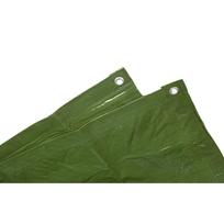 Bieza un izturīga brezenta pārklājs, 5x6m, zaļš, R500406, CITS