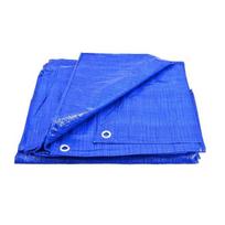 Zilais tarpaulins, 15 x 20 m, 70 g/m², ūdensizturīgs, UV izturīgs, AW68021, AWTOOLS