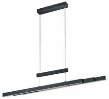 Šviestuvas lubų Trio Trajan, LED, 2700 - 5000 °K, 1 x 45 W, balta sp./juoda sp.