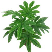 9 lapai / 1 vnt dirbtinis žalias augalas fatsijos lapų imitacinis bonsai namų dekoras Green
