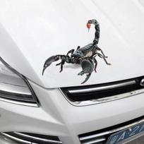 Stilingas Puikus šaunus voras 3D automobilių lipdukai Animacinių filmų kūrybiškos asmenybės dekoravimo lipdukai D juoda