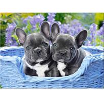 Full Round/Square 5D Diy Diamond Painting Two dogs Embroidery Full Lay Cross Stitch Kits Home Decor Handmade Gift Round 20x30cm