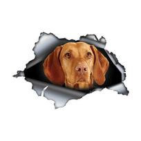 Vizsla 3D Išlaužk sieną automobilio lipdukas, Vandeniui atsparios vinilo medžiagos aksesuarai, Įdomus automobiliams, sunkvežimiams, motociklams, sienoms 30cm-Longest Side