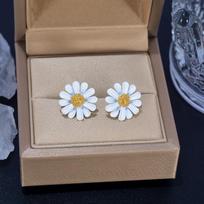 Margučių Auskarai Karoliai: Madinga, elegantiška klavikulės grandinėlė moterims gray