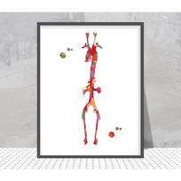 Kardiologija Kraujagyslių sistema Plakatas Akvarelė Angiograma Anatomija Angiologija Medicininė chirurgija Drobės tapyba Sienų menas Klinika Namų dekoras 21X30cm Unframed