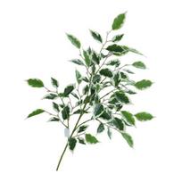 Simulated Green Plants Ficus Cordata Branch Artificial Greenery Low Maintenance Realistic Silk Leaves Home Garden Event Decor žalia