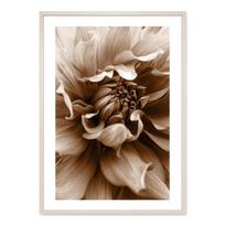 Bohemiško stiliaus gėlių žiedlapių spaudiniai Mergaitė šoka Galerijos sienos meno plakatas Drobės tapybos paveikslai Interjero svetainė Namų dekoras 21X30cm No Frame black