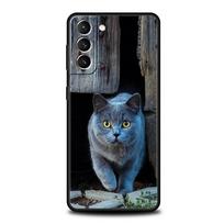 Britų trumpaplaukės katės minkštas telefono dėklas Samsung Galaxy S24 S23 S22 S20 Ultra S21 FE 5G S10 S9 Plus S10E S8 20 silikoninis dangtelis Samsung S20