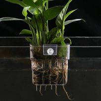 Akvariumo augalų krepšelis Skaidrus žuvų tanko kabinami papuošalai Vazonas Vandens augalų laikiklis Vandens augalo puodelis Žuvų tanko sodintuvas 80x57x80mm