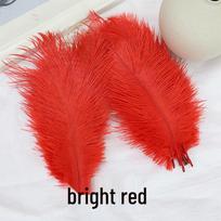 15-75cm Raudonos stručio plunksnos vestuvių praėjimo puošmenoms, stalo dekoracijoms, sienų menui, scenos rekvizitams red