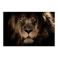 Afrikos liūtų drobės tapyba sienų menas laukiniai gyvūnai plakatai ir spaudiniai Cuadros liūtų paveikslai svetainės dekoravimui muralis 20x30cm