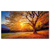 Golden Tree Sunset Fallen Leaves Autumn Landscape Canvas Painting Posters and Prints Wall Art Pictrue for Living Room Home Decor 20X40cm no frame karčiai saldžios spalvos