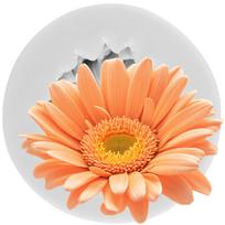 Ramunėlės gėlytės silikoninė forma Chrizantemos gėlytės fondanto formelės Torto dekoravimo įrankiai Cupcake viršus Saldainių dervos molis Šokolado gumpaste formelė pilka spalva