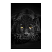 Juodo leopardo paveikslas, gyvūno drobės tapyba, panteros sienų meno plakatai, modernūs svetainės dekoravimo paveikslai, namų paveikslai 20x30cm