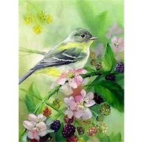 „Pasidaryk pats“ deimantinė tapyba Paukštis Kryželiu rinkinys Mozaikos menas Deimantinė tapyba Pilnas apskritimas/kvadratas Deimantas Namų dekoravimas Round 20x30cm
