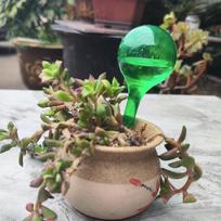 Ilgalaikis pralaidus plastiko laistymo rutulys, automatinis lašelinio drėkinimo įrenginys sodo augalams, sultingų gėlių, bonsai vandens dozatorius žalia