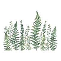 Žalio paparčio lapo lango lipdukas Pteridofitų lapai Augalai Statinis PVC lango lipdukas Daugkartiniai vandeniui atsparūs lipdukai namų kambario stiklinėms durims lango dekoravimui Leaf white